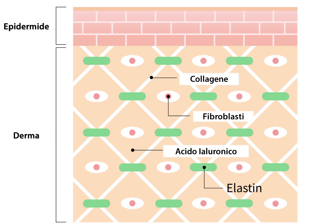 collagene Pelle